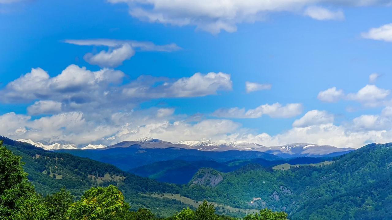 La Cabană, Corbeni Exterior foto