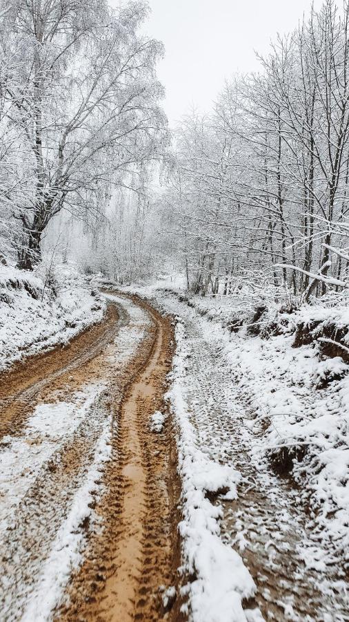La Cabană, Corbeni Cameră foto