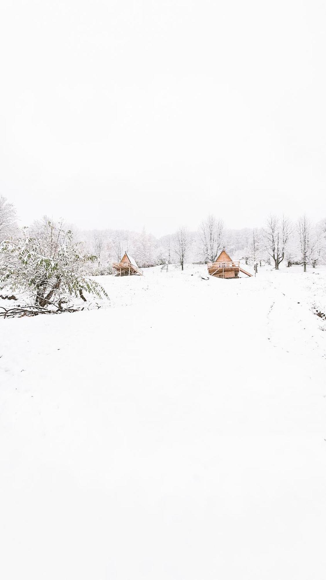 La Cabană, Corbeni Cameră foto
