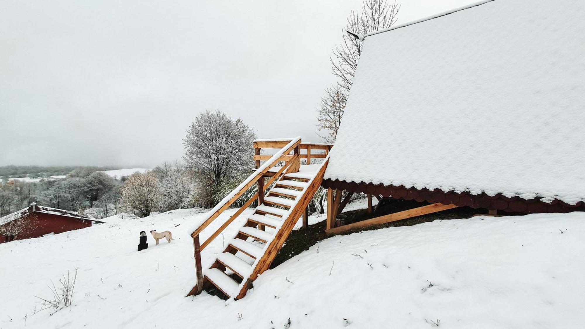La Cabană, Corbeni Cameră foto